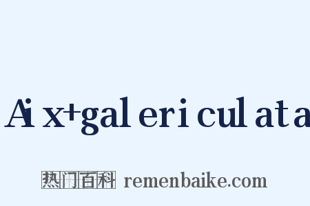 Aix galericulata是什么意思的图片
